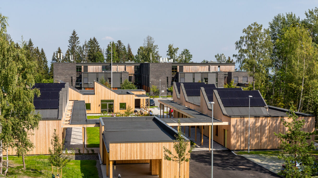 Boligkompleks med karakteristiske tak