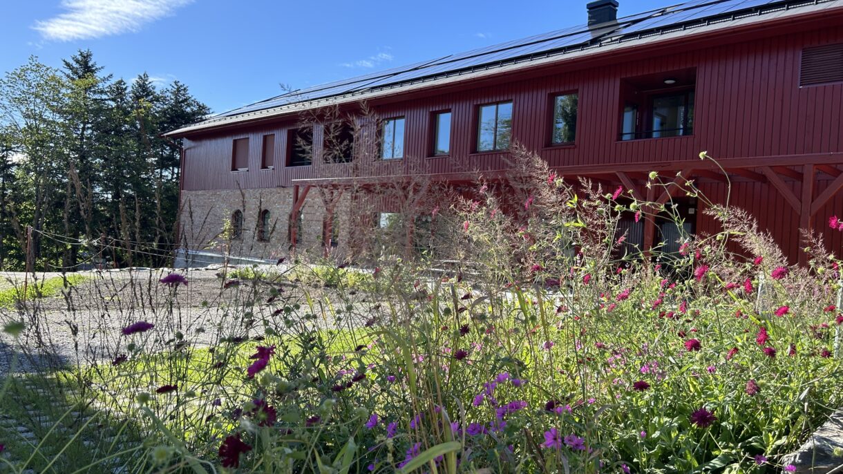 Blomsterbed ved låvebrua på Nedre Sem låve