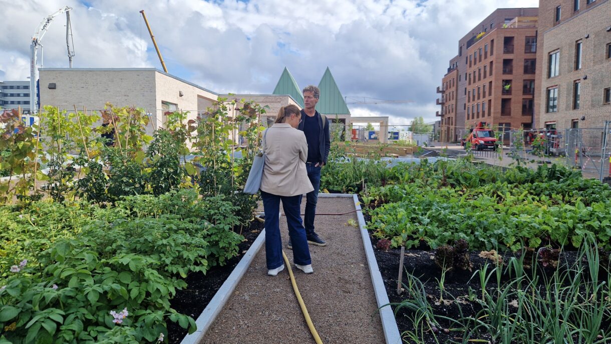 Felleshuset med dyrkehage og besøkende