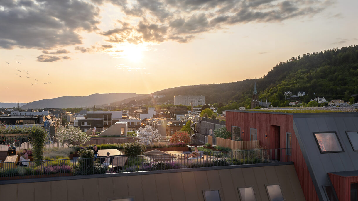Utsikt fra takterrassen. Illustrasjon.
