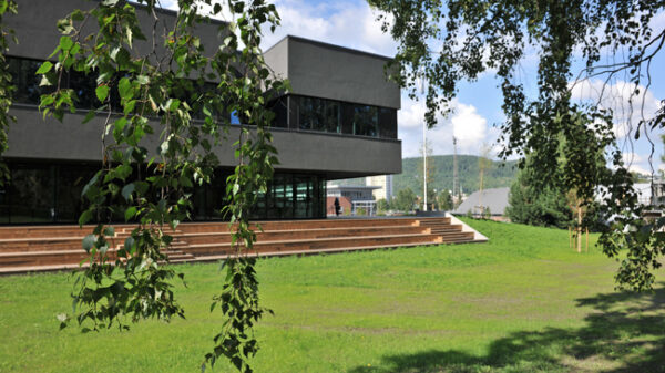 Skolebygg og grøntanlegg med plen og træ. Foto