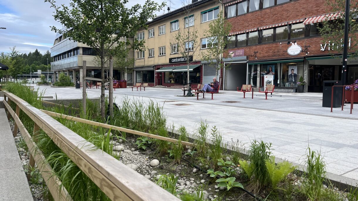 Gågate med regnbed og benker. Foto
