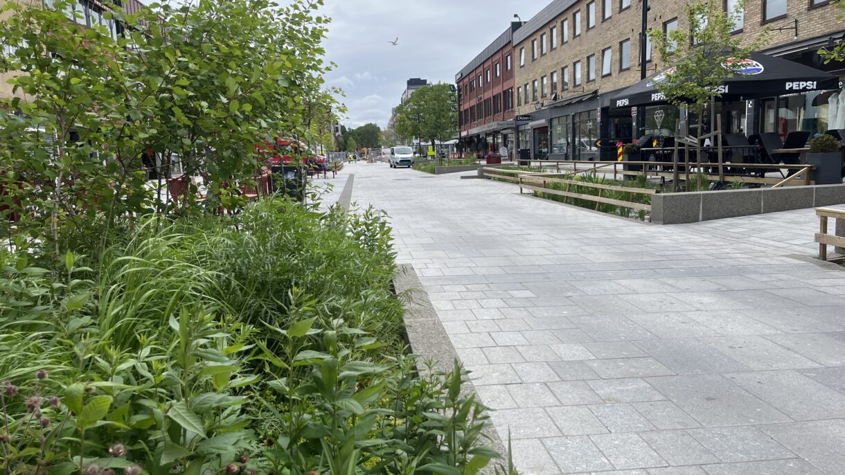 Gågate med granittbelegg og planter. Foto