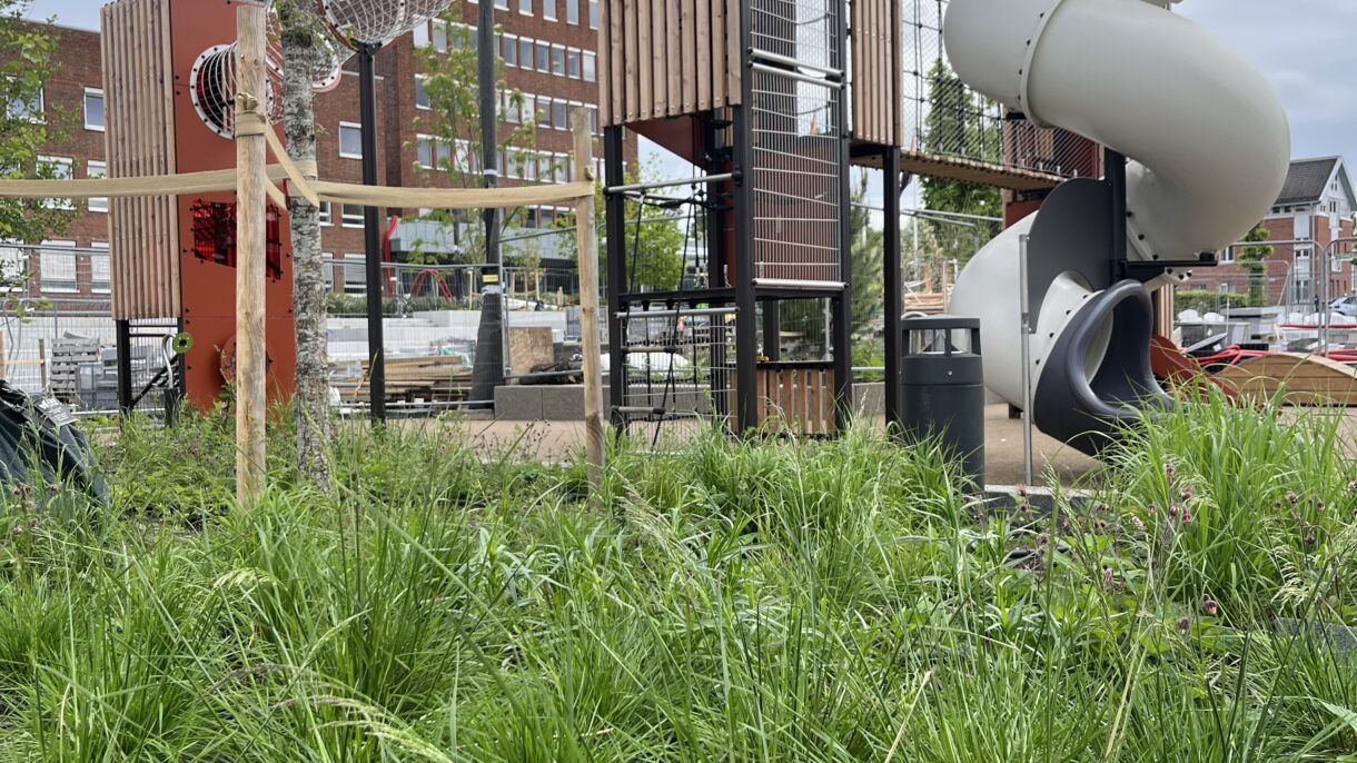 Lekeapparat og planter. Foto
