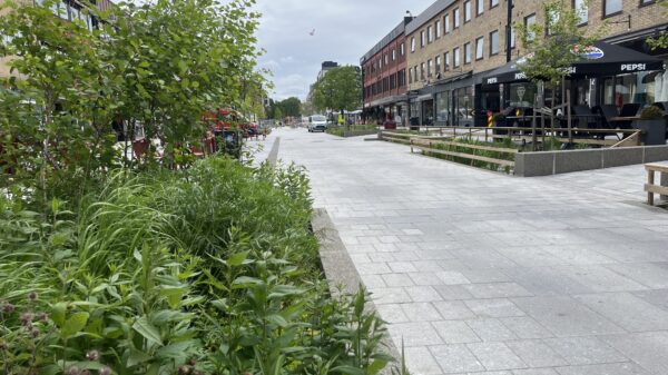 Gågate med granittbelegg og planter. Foto