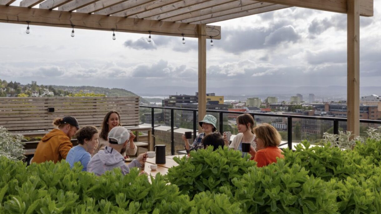 Takterrassen i bruk.