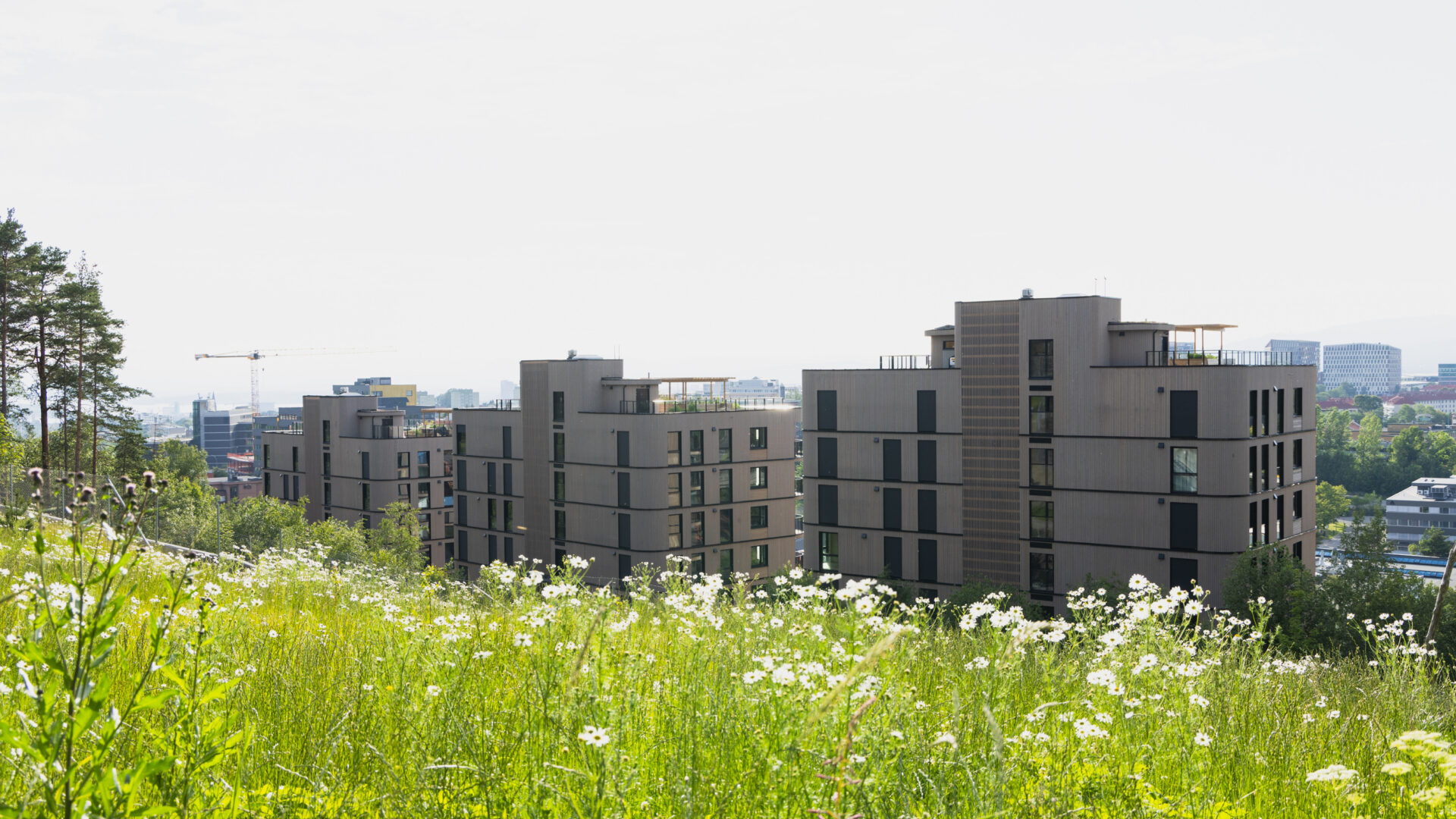 Blomstereng-Fyrstikkbakken_Birk og co, AF Eiendom, Link Arkitektur