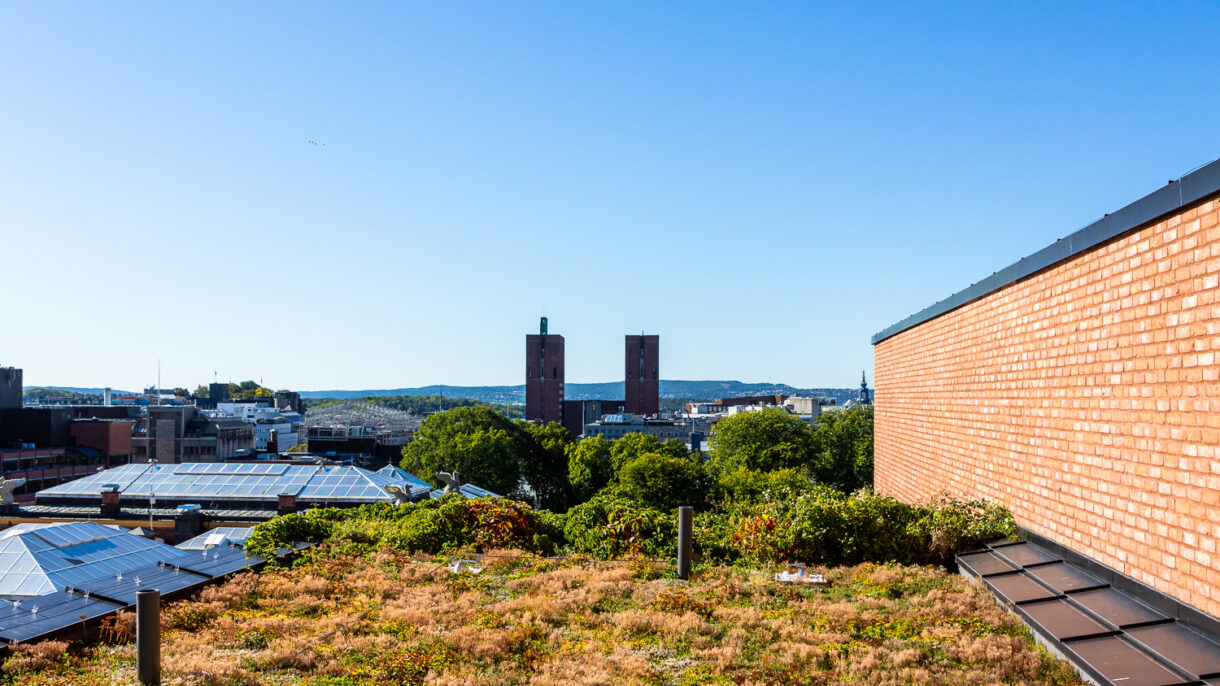 Grønt tak og utsikt til rådhuset. Foto