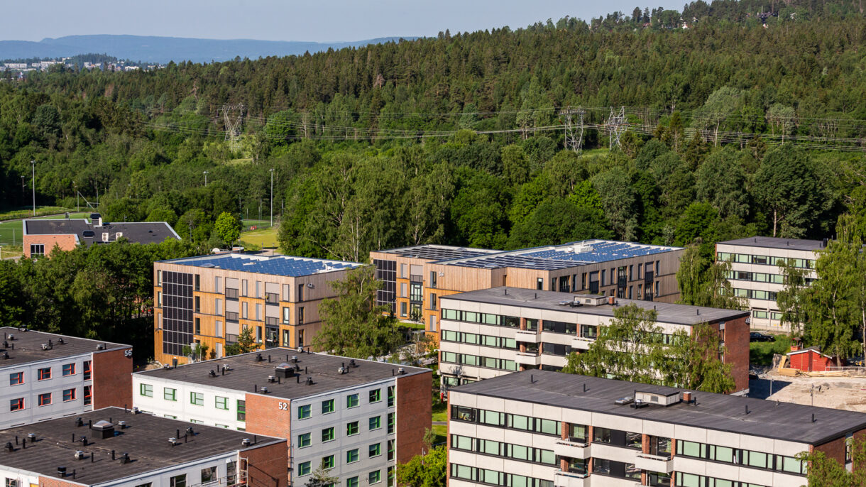Kringsjå studentboliger. Oversiktsbilde. Foto