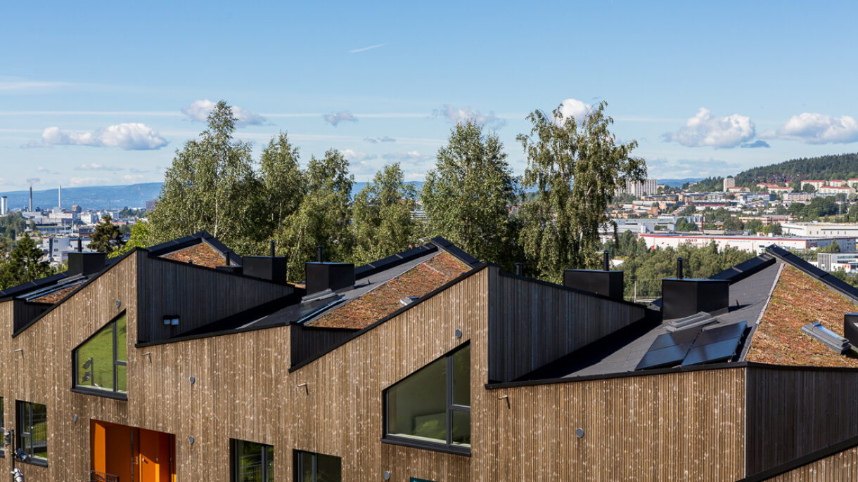 Taklandskap med sedum og solceller. Foto