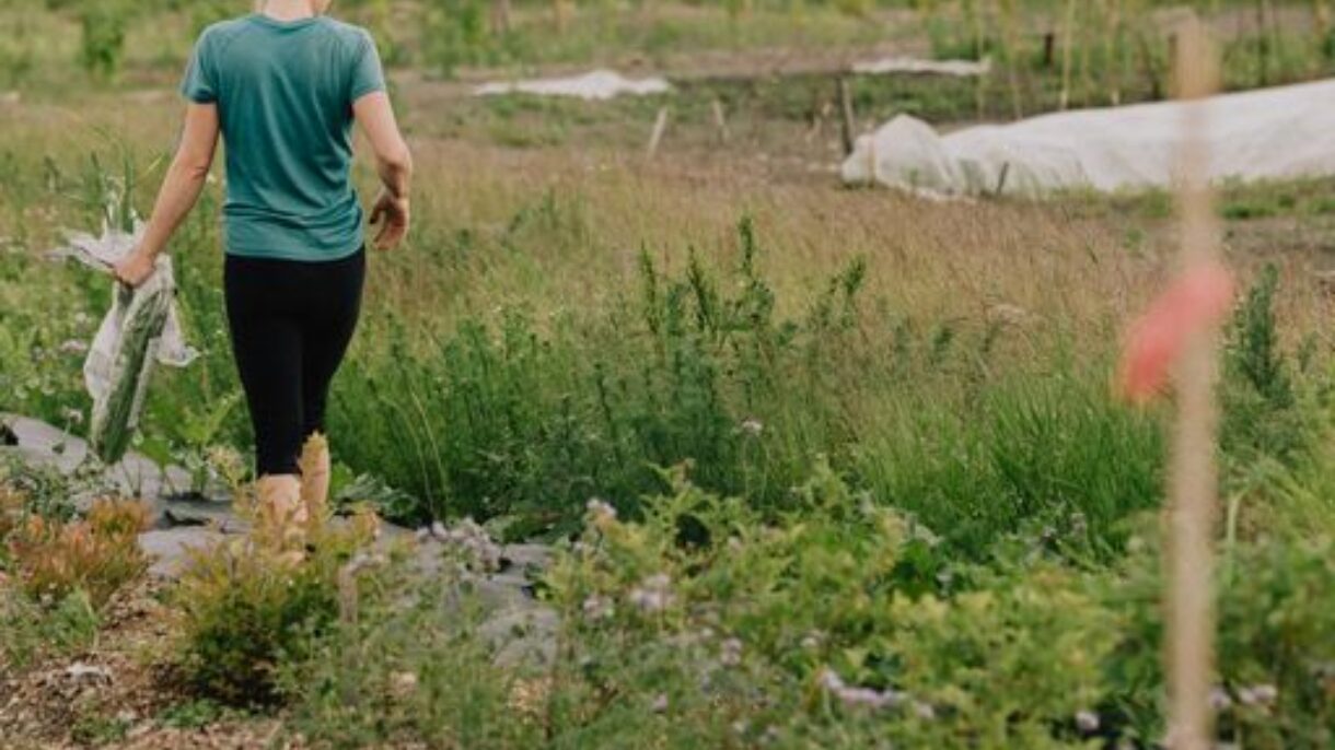 Sosiale møteplasser mellom husene, som områder for urban dyrking, er viktig i utviklingen av Fornebu. Foto: Julie Hrnčířová