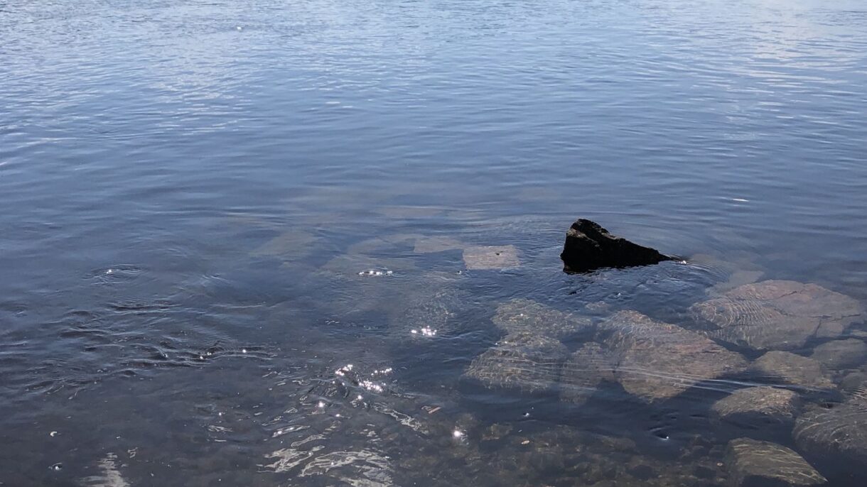 Legg på svøm i Drammenselva!