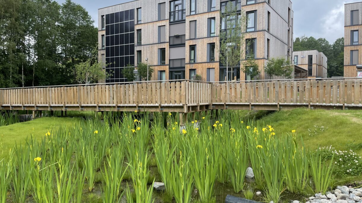 Massivtre, solceller, lavkarbonbetong, overvannshåndtering og biomangfold er blant klimatiltakene som SiO har jobbet med på Kringsjå. Foto: Fam Aas/SiO