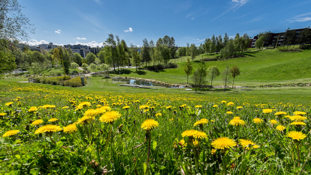 Illustrasjonsfoto fra Furuset. Foto: Tove Lauluten