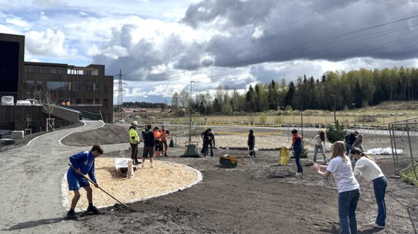 Elever som skal begynne på Magasinparken ungdomsskole til høsten var med på planting. Foto: Nordre Follo kommune