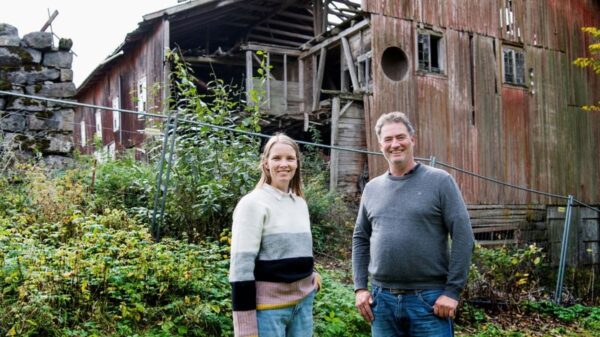 Låven på Nedre Sem er det første sirkulære byggeprosjektet Asker kommune gjennomfører. Låven har forfalt over lengre tid, men skal nå restaureres til å huse både et kommunalt arbeidssenter og boliger for personer med funksjonsnedsettelser, forteller Bente Støa og Alf Kaare Stokker. Foto: Elin Eike Worren