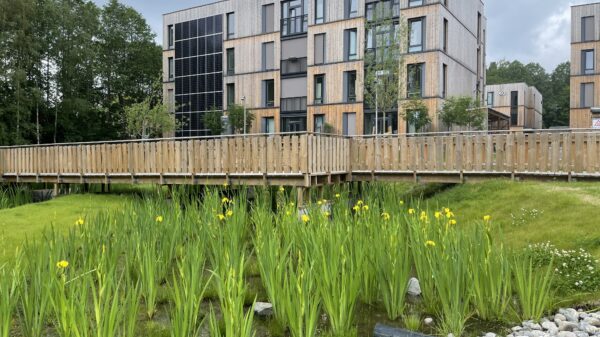 Massivtre, solceller, lavkarbonbetong, overvannshåndtering og biomangfold er blant klimatiltakene som SiO har jobbet med på Kringsjå. Foto: Fam Aas/SiO