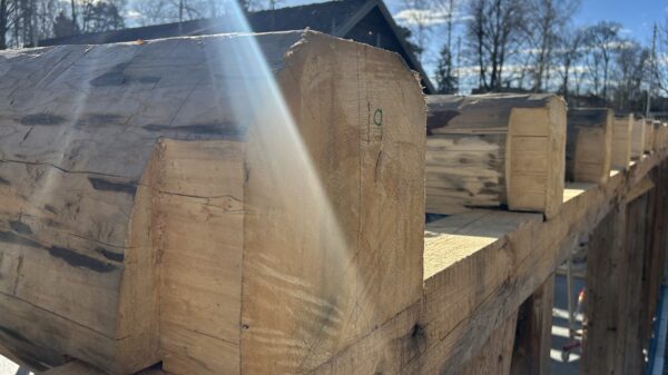 Bjelkelaget mellom første og andre etasje er løftet på plass, og bindingsverket kommer fra FutureBuilt-prosjektet Nedre Sem låve i Asker. Foto: FutureBuilt