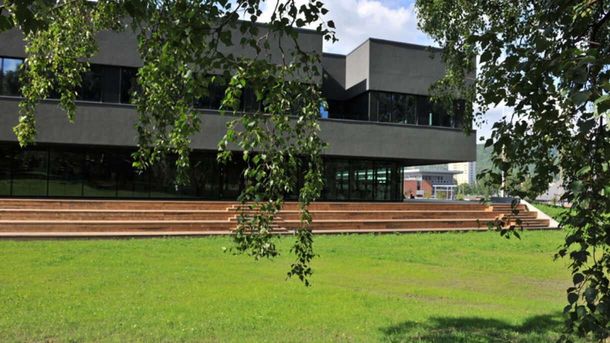 Marienlyst skole kveld