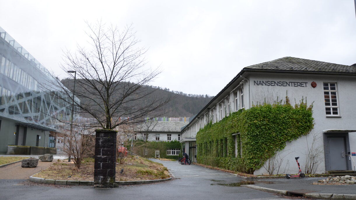 DSC 6231 Foto Bergen kommune1