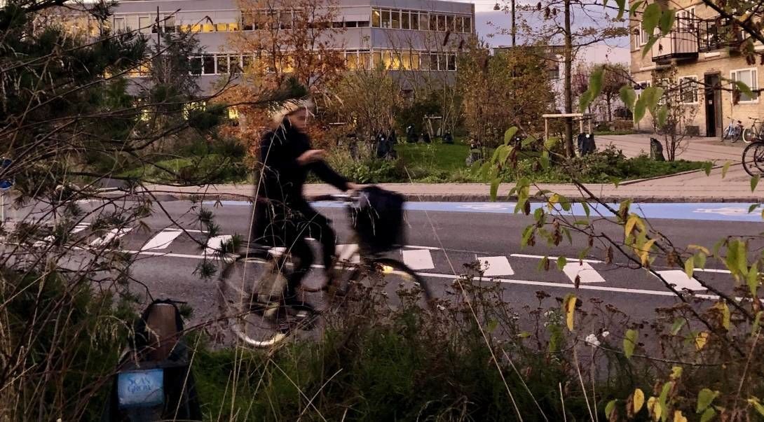 Kvinne på sykkel med trær foran. Foto.