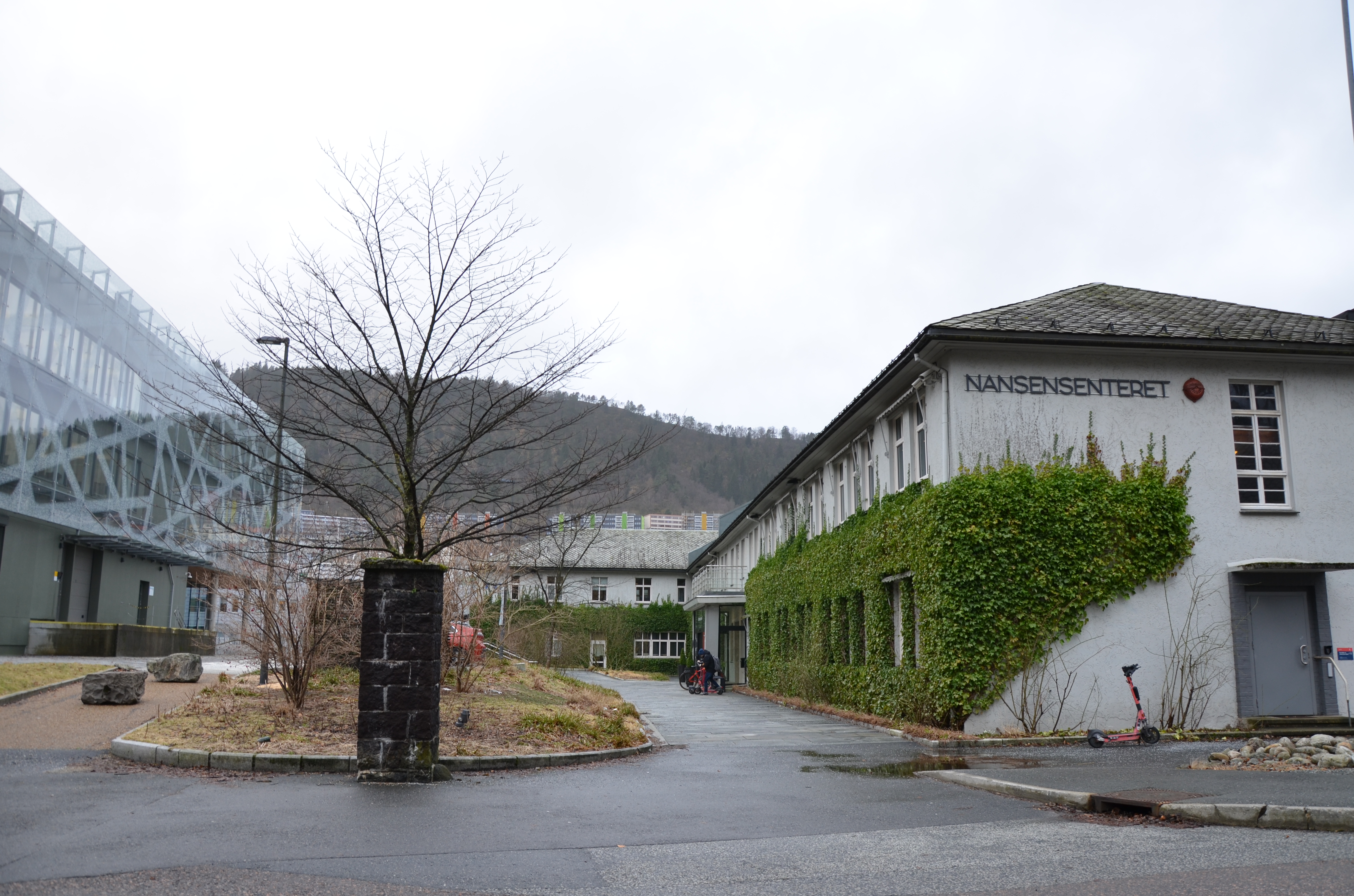 Marineholmen Kanvas-barnehage