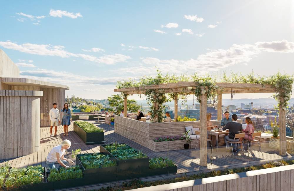 Takterasse er blant det folk ønsker å dele, viser medvirkningsprosessen. Ill.: LINK arkitektur Takterasse er blant det folk ønsker å dele, viser medvirkningsprosessen. Ill.: LINK arkitektur