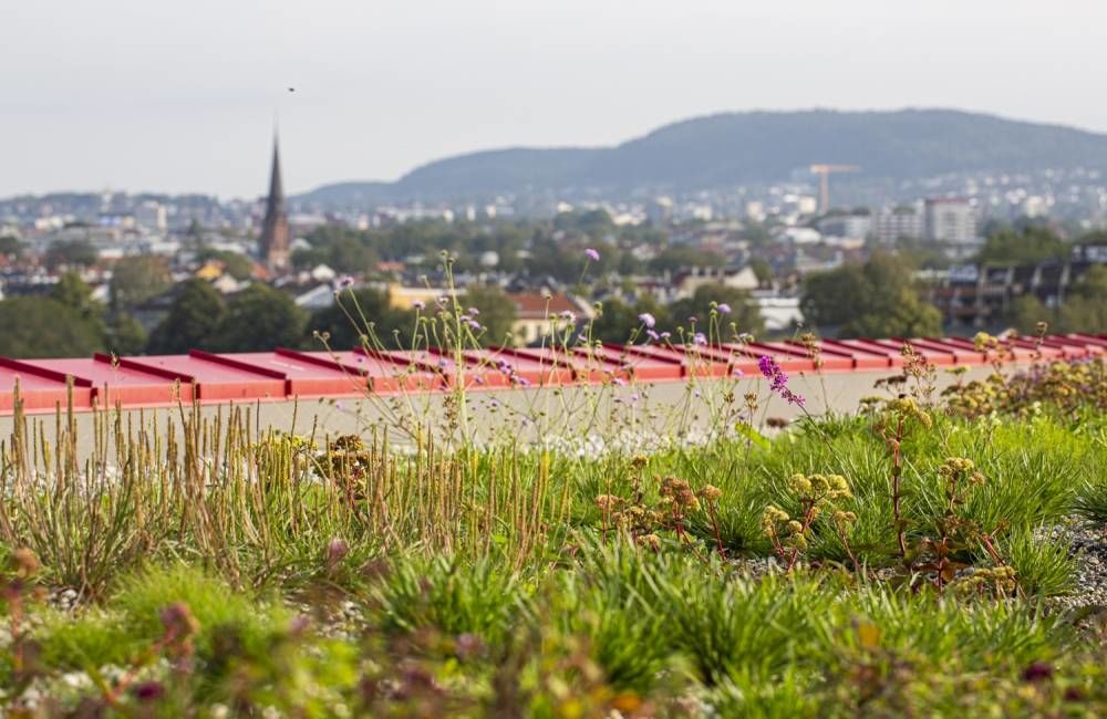 Grunerløkka har fått egen strandsone. Foto: Åse Holte, Asplan Viak
Foto: Åse Holte