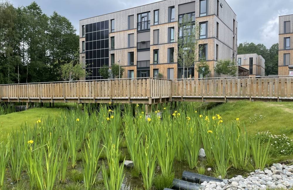 Massivtre, solceller, lavkarbonbetong, overvannshåndtering og biomangfold er blant klimatiltakene som SiO har jobbet med på Kringsjå. Foto: Fam Aas/SiO Massivtre, solceller, lavkarbonbetong, overvannshåndtering og biomangfold er blant klimatiltakene som SiO har jobbet med på Kringsjå. Foto: Fam Aas/SiO