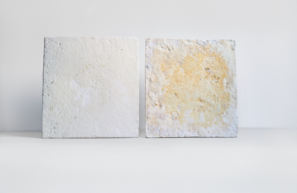 Demp utvikler akustikkplater laget av norsk treavfall og mycelium, som er rotnettverket til sopp. Foto: Demp Demp utvikler akustikkplater laget av norsk treavfall og mycelium, som er rotnettverket til sopp. Foto: Demp