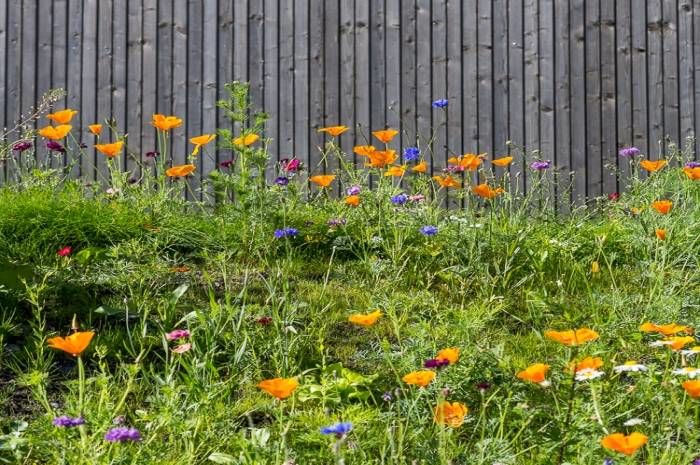 Oslo er europeisk miljøhovedstad i 2019. Nå kan du bli med på innspillworkshop.Foto: Tove Lauluten