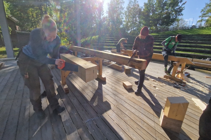 Kraftige, gamle trebjelker fra FutureBuilt-prosjektet Nedre Sem låve blir en del av konstruksjonen på Tradlab på Norsk Folkemuseum. Rester av bjelkene skal brukes som «kubb» i veggene, en gammel teknikk der bindingsverket er utmurt av trekubber og leire. Foto: FutureBuilt 