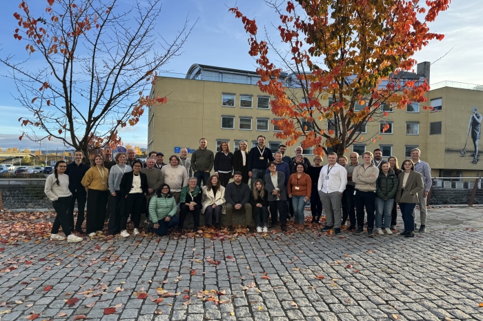 30. januar kan du bli med på workshop hvor formålet er å samle relevante aktører som kan bidra til at SirkTRE-resultater blir kommersialisert. 