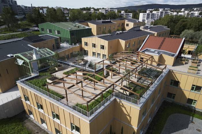 Furuset hageby får et frodig grøntaanlegg, blant annet en takhage, der det også er etablert en turløype for beboerne. Takene brukes også for å håndtere overvann, samt mat- og energiproduksjon. Foto: Bård Gudim/AF Bygg Oslo