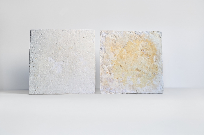 Demp utvikler akustikkplater laget av norsk treavfall og mycelium, som er rotnettverket til sopp. Foto: Wittrup Demp utvikler akustikkplater laget av norsk treavfall og mycelium, som er rotnettverket til sopp. Foto: Wittrup